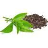 Assam Green Tea; Buy Assam Tea Online; Assam TEa
