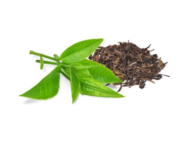 Assam Green Tea; Buy Assam Tea Online; Assam TEa