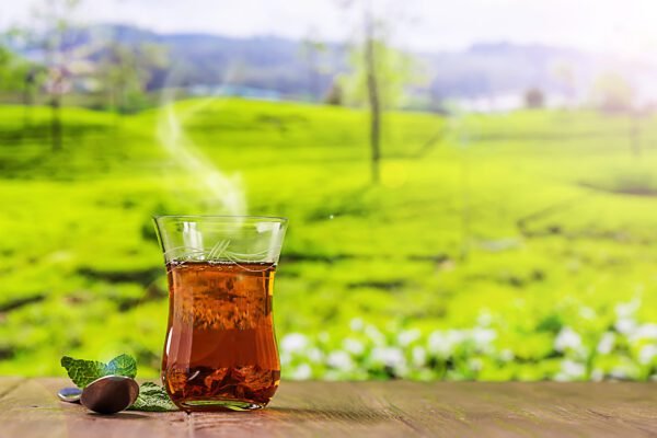 Assam Black Tea, Premium assam tea; tea